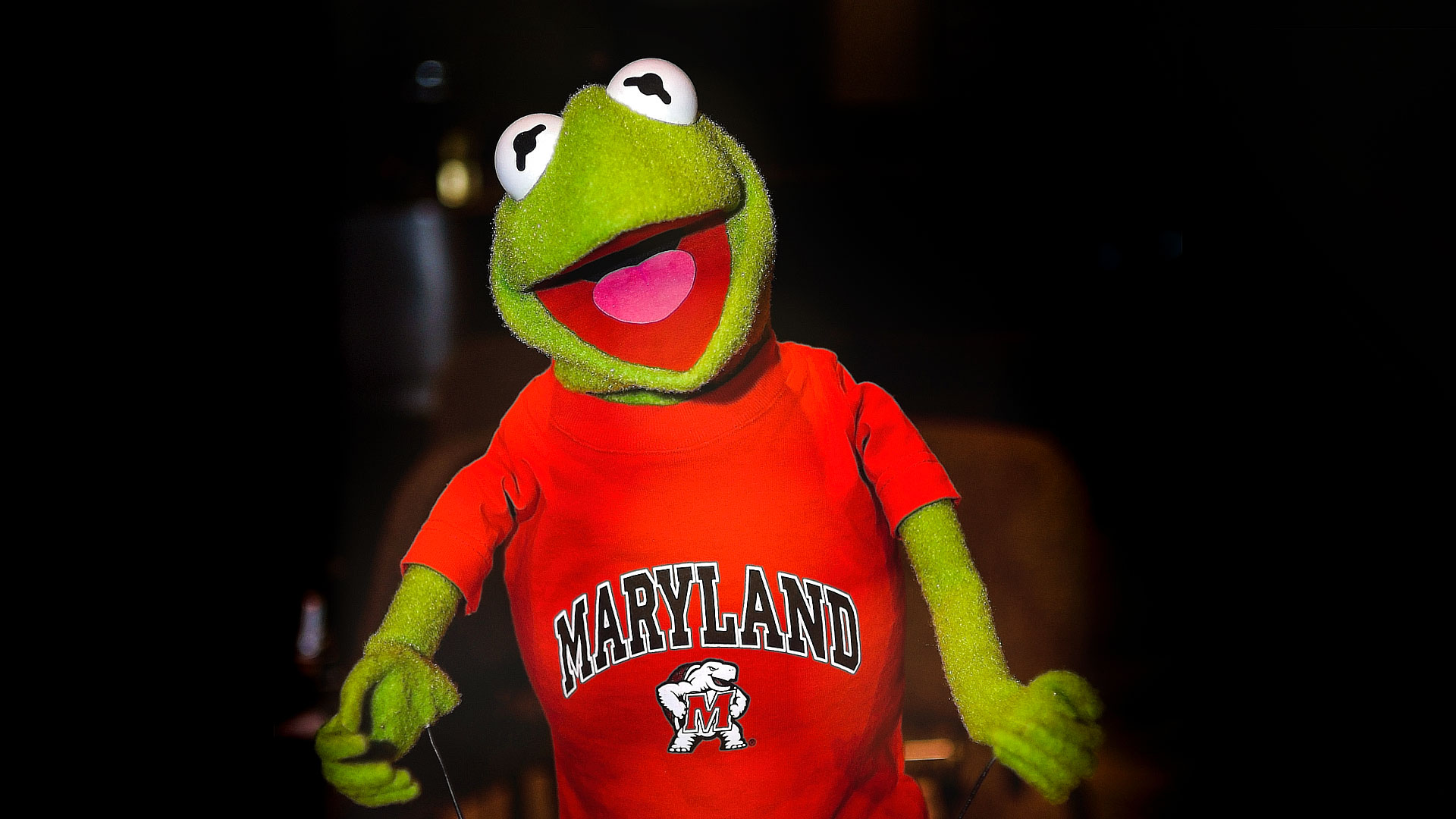Kermit the Frog Maryland Terrapin