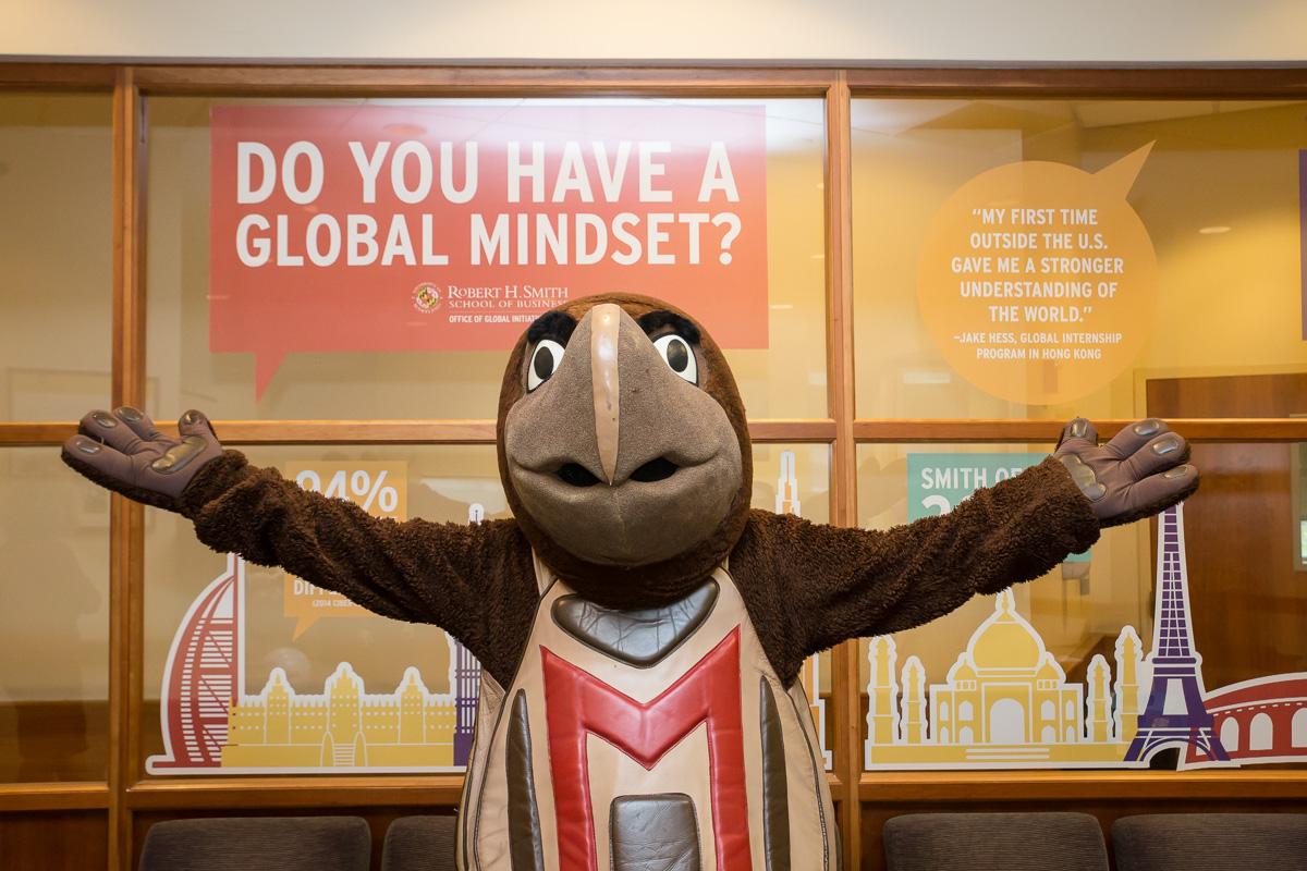 Testudo with a global mindset