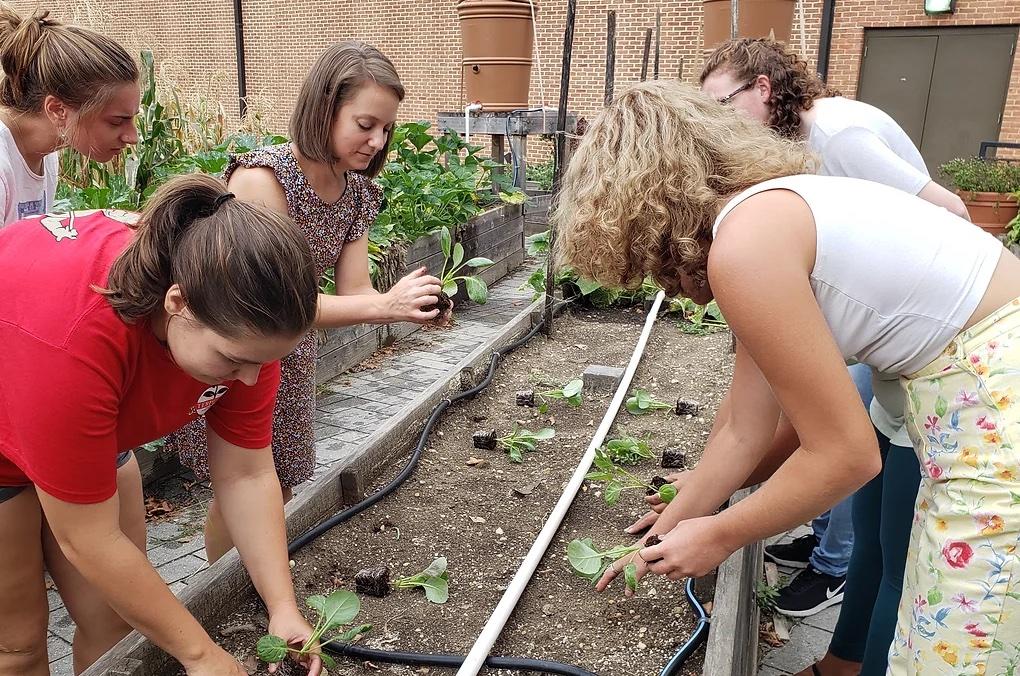 Community Learning Garden