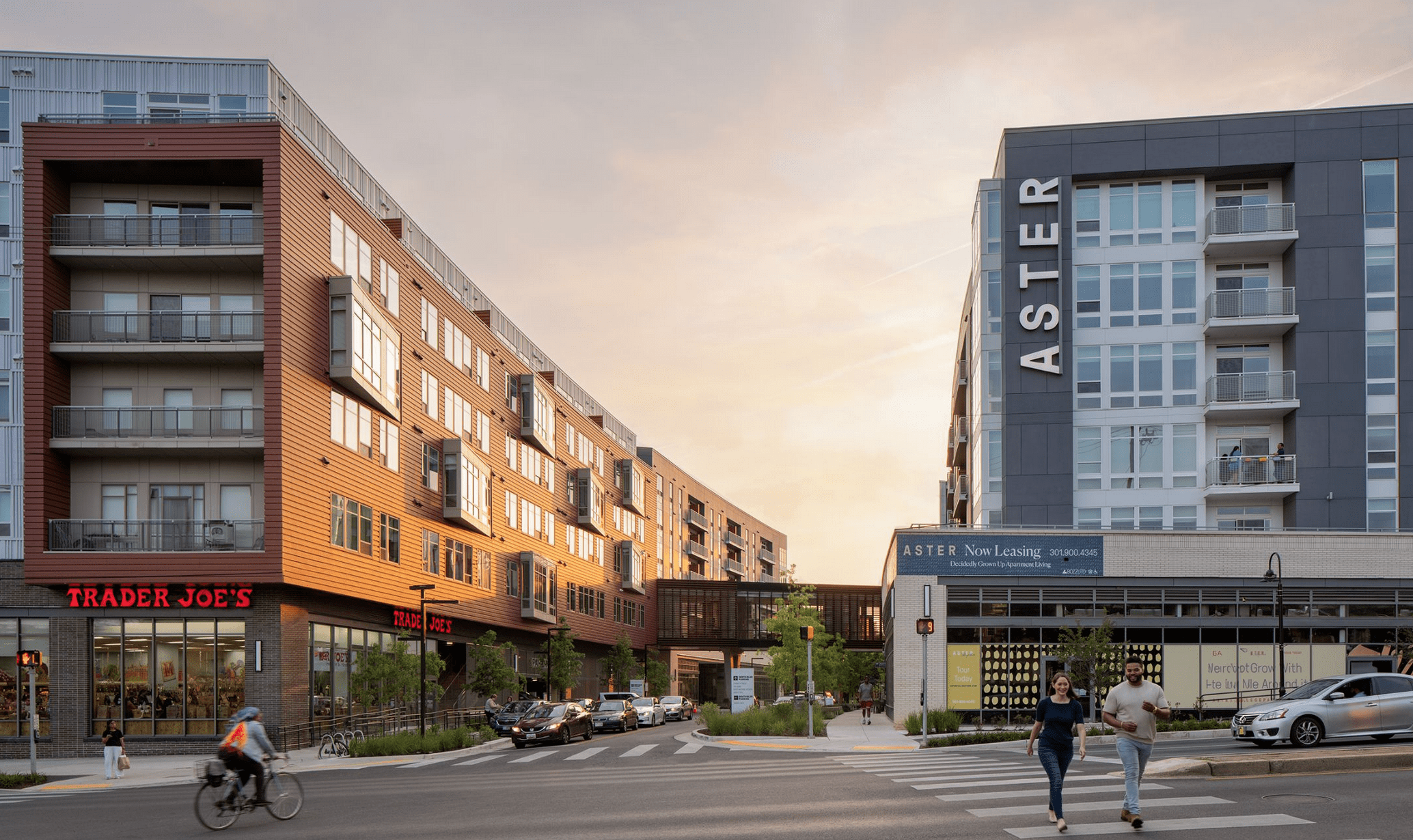 Aster College Park